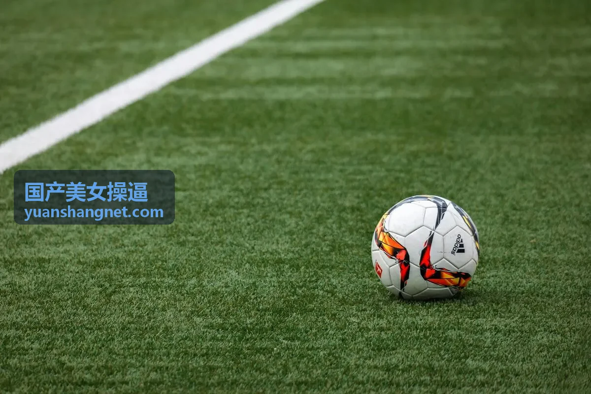 国产美女操逼私密影像高清截图